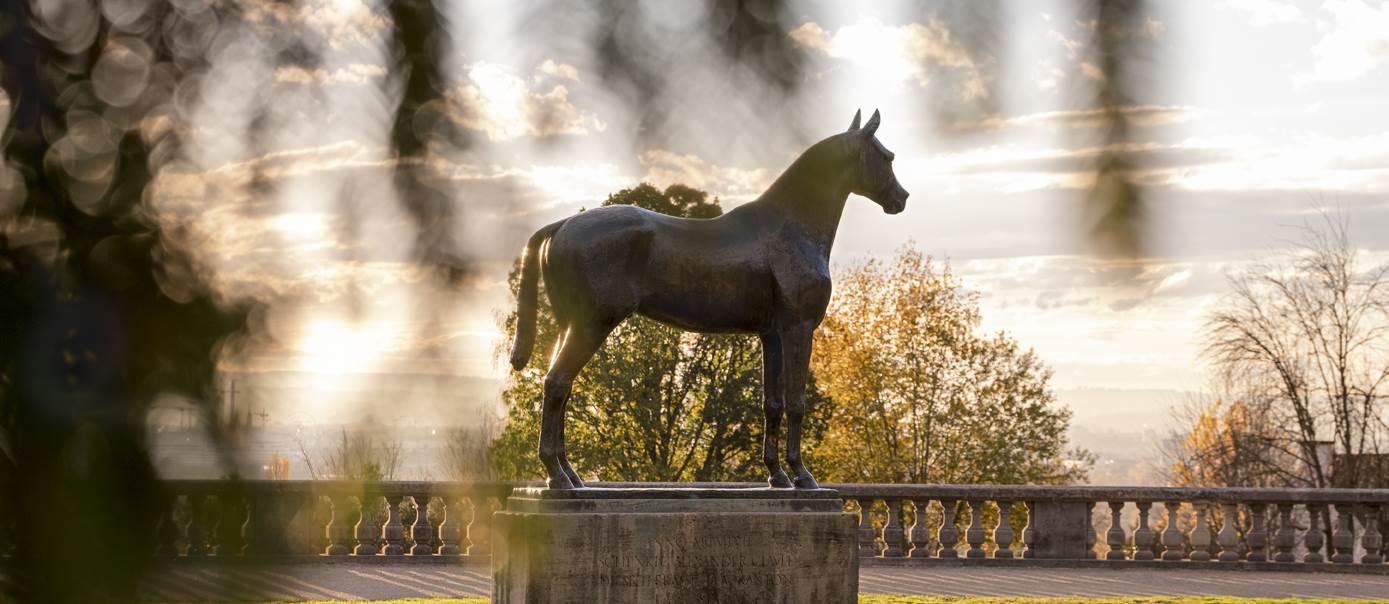 Basel im Park im Grünen mit Pferd